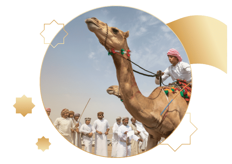 Camel Race