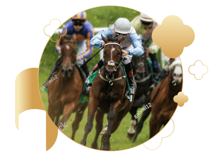 Horse Racing